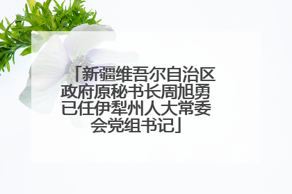 新疆维吾尔自治区政府原秘书长周旭勇已任伊犁州人大常委会党组书记