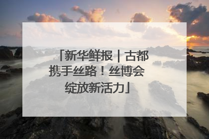 新华鲜报｜古都携手丝路！丝博会绽放新活力