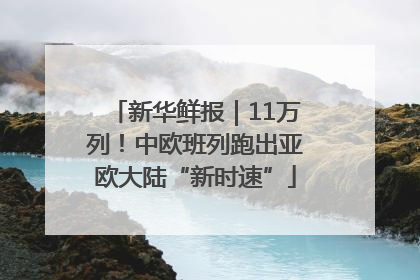 新华鲜报｜11万列！中欧班列跑出亚欧大陆“新时速”