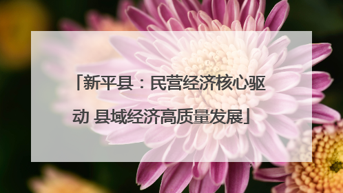 新平县：民营经济核心驱动 县域经济高质量发展