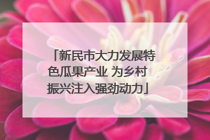 新民市大力发展特色瓜果产业 为乡村振兴注入强劲动力