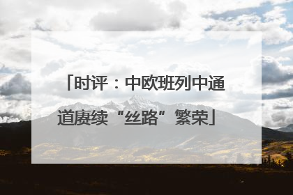 时评：中欧班列中通道赓续“丝路”繁荣