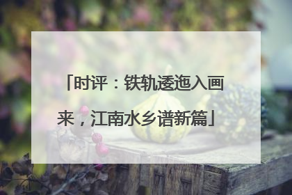 时评：铁轨逶迤入画来，江南水乡谱新篇
