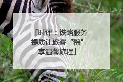 时评：铁路服务提质让旅客“粽”享温馨旅程