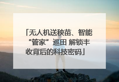 无人机送秧苗、智能“管家”巡田 解锁丰收背后的科技密码