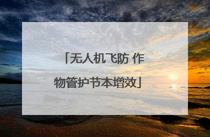 无人机飞防 作物管护节本增效