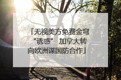 无视美方免费金穹“诱惑” 加拿大转向欧洲谋国防合作