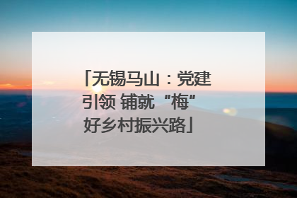无锡马山：党建引领 铺就“梅”好乡村振兴路