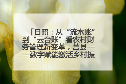 日照：从“流水账”到“云台账”看农村财务管理新变革，莒县——数字赋能激活乡村振兴“一池春水”