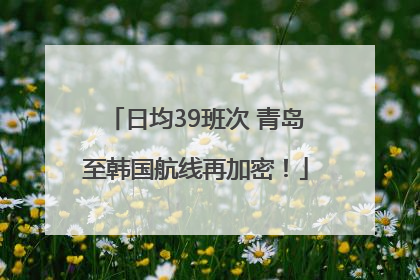 日均39班次 青岛至韩国航线再加密！