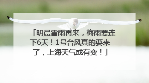 明晨雷雨再来，梅雨要连下6天！1号台风真的要来了，上海天气或有变！