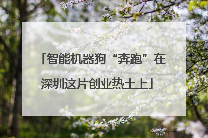 智能机器狗“奔跑”在深圳这片创业热土上