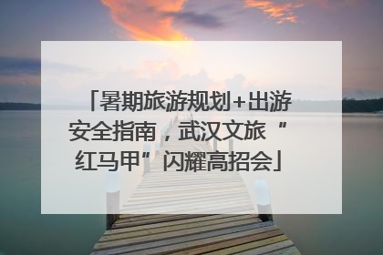暑期旅游规划+出游安全指南，武汉文旅“红马甲”闪耀高招会