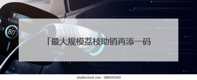 最大规模荔枝助销再添一码！京东物流开通“深圳-武汉-西安” 荔枝全货机航线