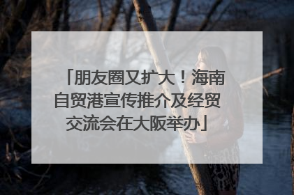 朋友圈又扩大！海南自贸港宣传推介及经贸交流会在大阪举办