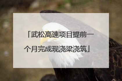 武松高速项目提前一个月完成现浇梁浇筑