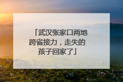 武汉张家口两地跨省接力，走失的孩子回家了