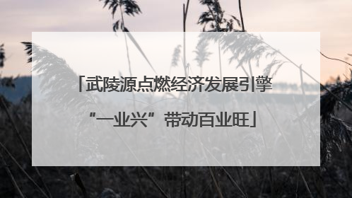 武陵源点燃经济发展引擎 “一业兴”带动百业旺