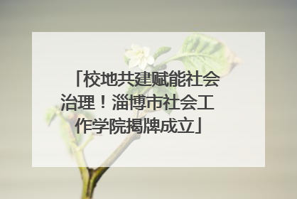 校地共建赋能社会治理！淄博市社会工作学院揭牌成立