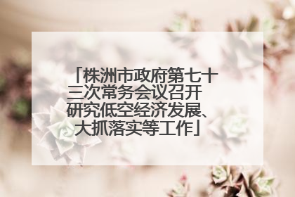 株洲市政府第七十三次常务会议召开 研究低空经济发展、大抓落实等工作