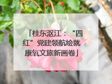 桂东沤江：“四红”党建领航绘就康氧文旅新画卷