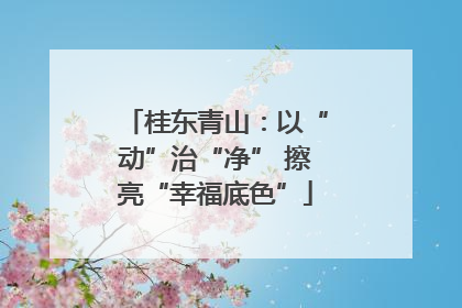 桂东青山：以“动”治“净” 擦亮“幸福底色”