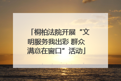 桐柏法院开展“文明服务我出彩 群众满意在窗口”活动