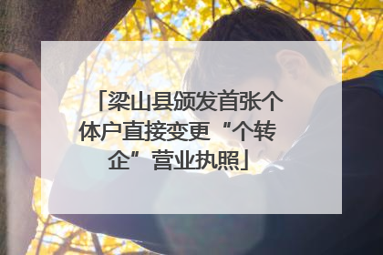 梁山县颁发首张个体户直接变更“个转企”营业执照