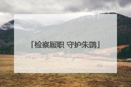 检察履职 守护朱鹮