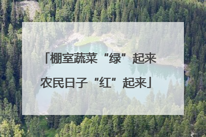 棚室蔬菜“绿”起来 农民日子“红”起来