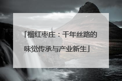 榴红枣庄：千年丝路的味觉传承与产业新生