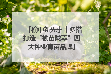 榆中新先事｜多措打造“榆苗陇萃”四大种业育苗品牌