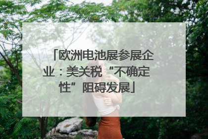 欧洲电池展参展企业：美关税“不确定性”阻碍发展
