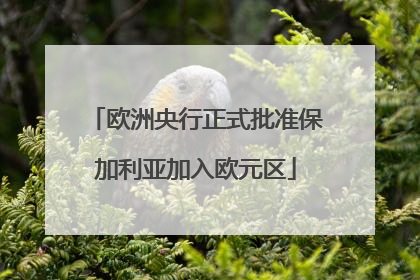 欧洲央行正式批准保加利亚加入欧元区