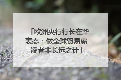 欧洲央行行长在华表态：做全球贸易霸凌者非长远之计