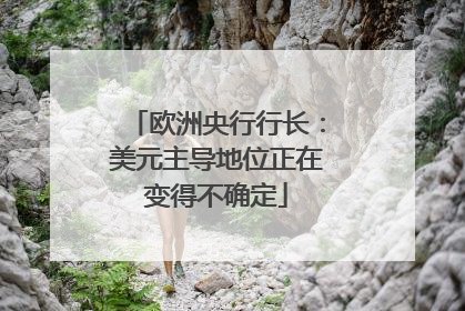 欧洲央行行长：美元主导地位正在变得不确定