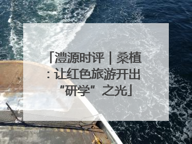 澧源时评｜桑植：让红色旅游开出“研学”之光
