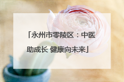永州市零陵区：中医助成长 健康向未来