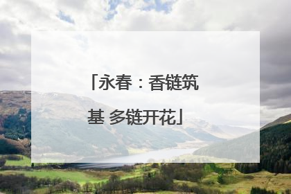 永春：香链筑基 多链开花