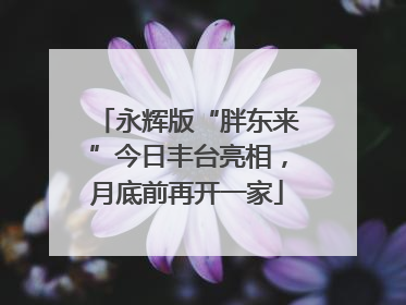 永辉版“胖东来”今日丰台亮相，月底前再开一家