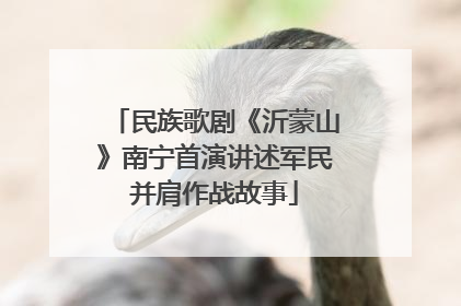 民族歌剧《沂蒙山》南宁首演讲述军民并肩作战故事