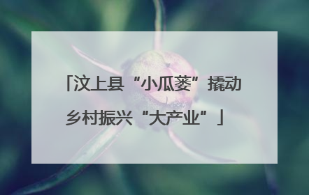 汶上县“小瓜蒌”撬动乡村振兴“大产业”