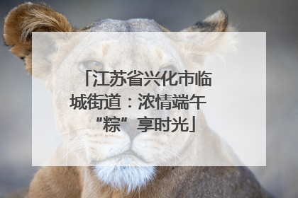 江苏省兴化市临城街道：浓情端午 “粽”享时光