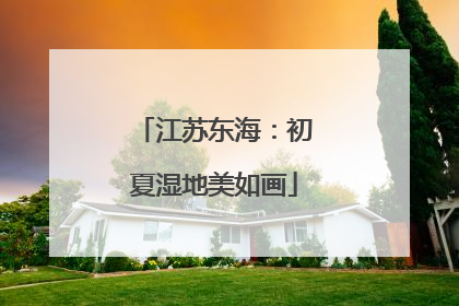 江苏东海：初夏湿地美如画