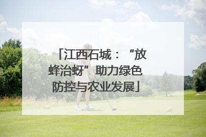 江西石城：“放蜂治蚜”助力绿色防控与农业发展