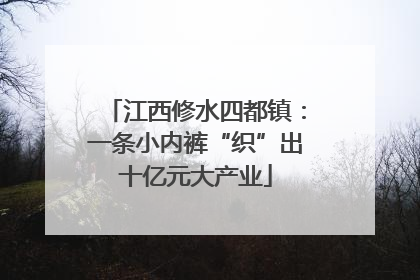 江西修水四都镇：一条小内裤“织”出十亿元大产业
