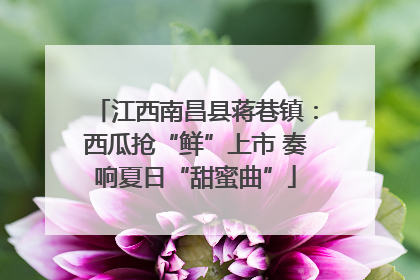 江西南昌县蒋巷镇：西瓜抢“鲜”上市 奏响夏日“甜蜜曲”