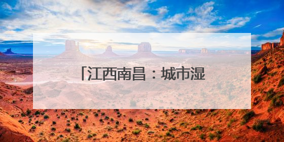 江西南昌：城市湿地公园夏日绿意盎然 荷花渐开引客来