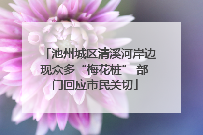 池州城区清溪河岸边现众多“梅花桩” 部门回应市民关切
