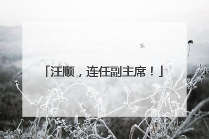 汪顺，连任副主席！